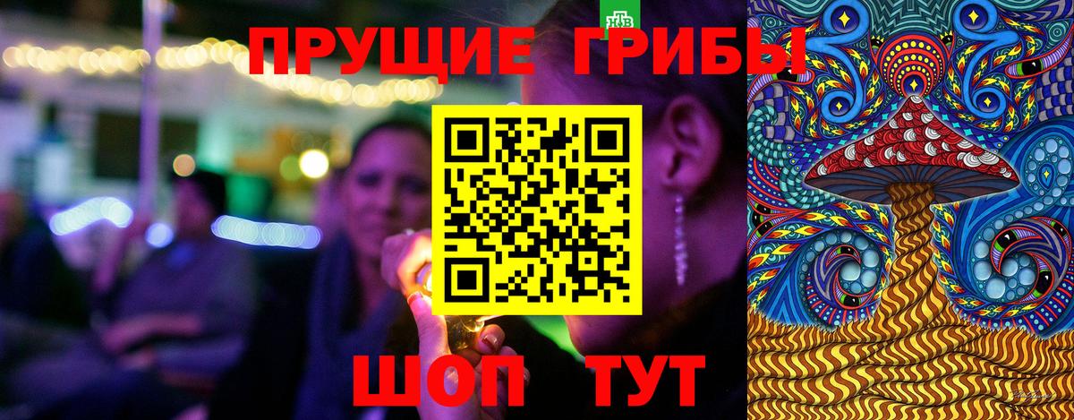 Псилоцибиновые грибы Cubensis Кириши